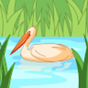 Meet your Posher, Isaac